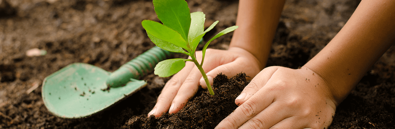 عندما تكون مستعدًا للتداول ، افتح صفقة على أداة من بين أكثر من 750 أداة نقدمها.