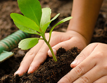 عندما تكون مستعدًا للتداول ، افتح صفقة على أداة من بين أكثر من 750 أداة نقدمها.